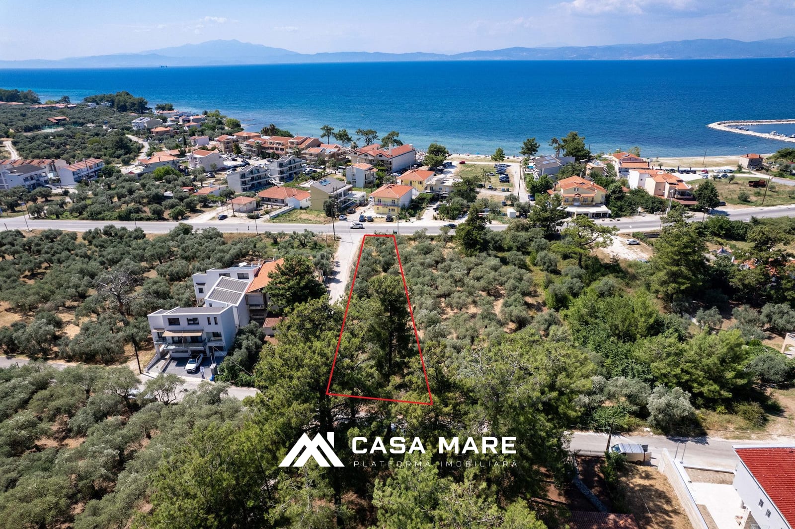 Callirhoe | Skala Rachoni, Thassos, Grecia 1