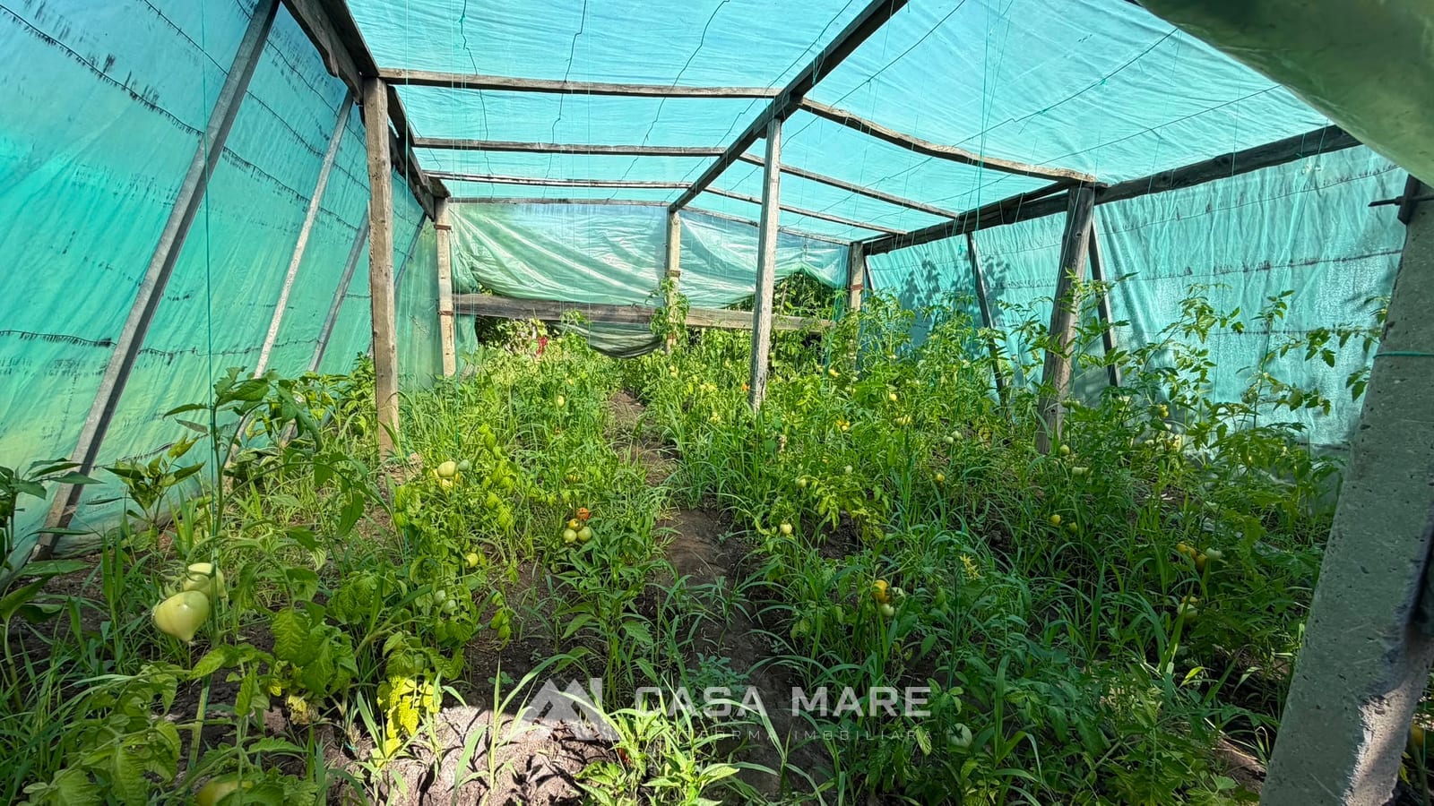 Casă cu 2 camere, 30 m², Răzeni 5